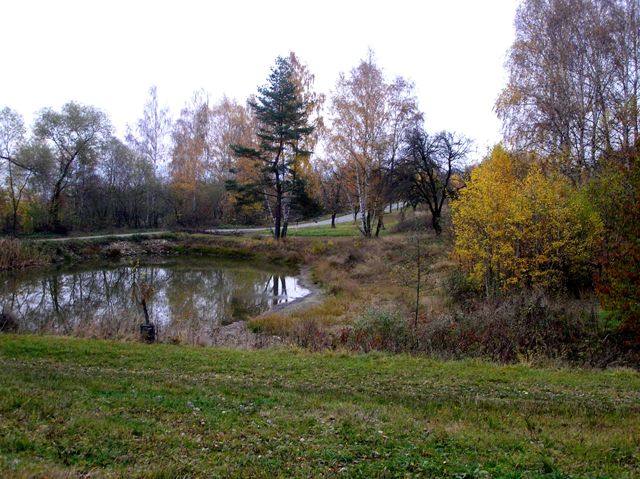 Rybník