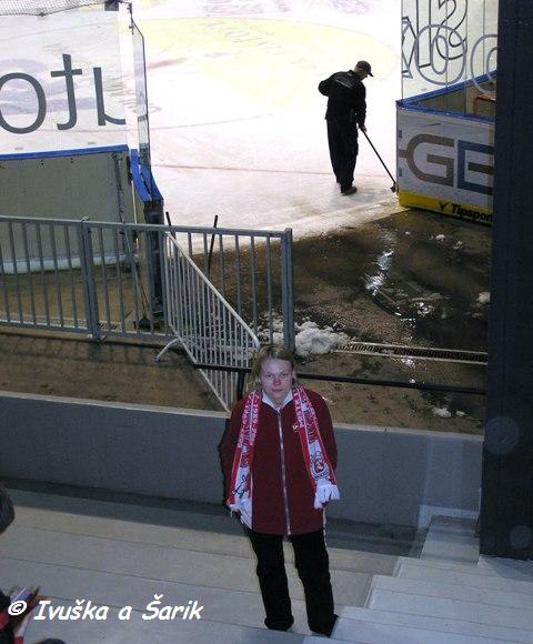 Pardubice vs. Slavia 13.11.2009 008.jpg